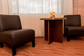Hotel Real Plaza Aguascalientes - Room