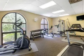Comfort Inn at Thousand Hills - Salle de remise en forme