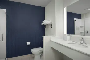 Fairfield Inn & Suites by Marriott Atlanta Stockbridge - Salle de bain