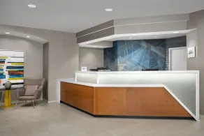 SpringHill Suites by Marriott Atlanta Buford/Mall of Georgia - Réception