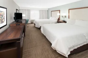 Hampton Inn Birch Run/Frankenmuth - Chambre