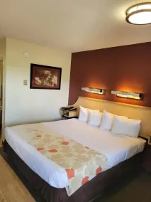 Red Oak Inn Detroit - Southfield - Room