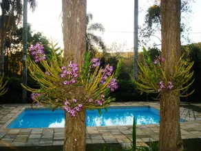 Hotel Fazenda Bandeirantes - Pool