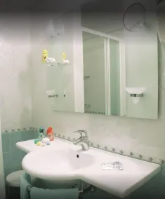 Hotel Feldberg - Vask på badet