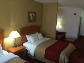 Comfort Inn & Suites Chesapeake - Portsmouth - Chambre