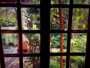 Foxwood House - View from room