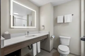 Holiday Inn Express Ogden by IHG - Salle de bain