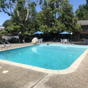Hillside Inn - Piscine
