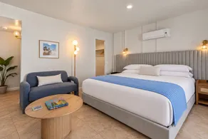 Casa Oliver Hotel & Resort - A Men's Clothing Optional Resort in Palm Springs - Værelse