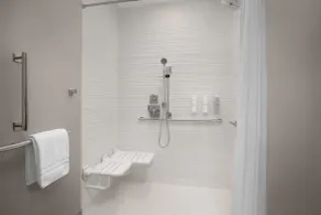 Homewood Suites By Hilton Portsmouth Downtown - Bad