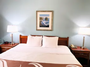 Quality Inn & Suites Sequim at Olympic National Park - Chambre