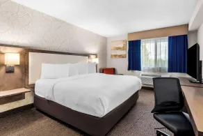 Best Western Halton Hills - Room