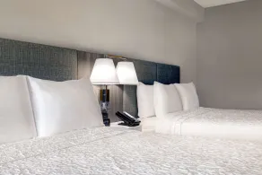 Hampton Inn & Suites by Hilton Burlington Toronto - Chambre