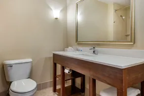 Comfort Suites Dayton-Wright Patterson - Salle de bain