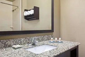 La Quinta by Wyndham Pearsall - Salle de bain