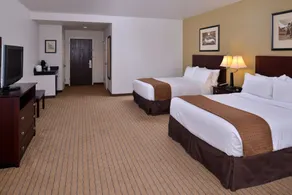 Holiday Inn Madison at The American Center by IHG - Chambre