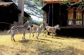 Maralal Safari Lodge - Overnatningsstedets facade