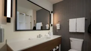 Spark by Hilton Houston Bush Intercontinental Airport - Salle de bain