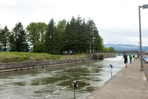 Columbia Gorge Inn - Piscine
