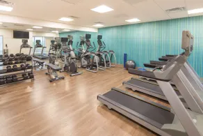 Holiday Inn Express & Suites - Indianapolis NW - Zionsville by IHG - Salle de remise en forme