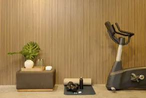 Fiesta Inn Monterrey Valle - Palestra