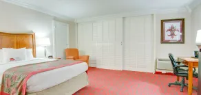 Ramada by Wyndham Metairie New Orleans Airport - Chambre