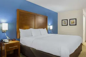 Comfort Inn Garner Clayton I-40 - Rom
