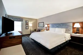 Hampton Inn Atlanta-Mall Of Georgia - Chambre