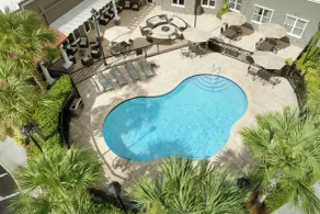 Residence Inn Tampa Suncoast Parkway at NorthPointe Village - Pool