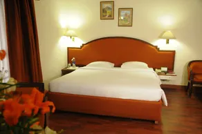 Nalapad's Hotel Bangalore International - Room