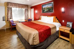 Aqua Venture Inn - Habitación