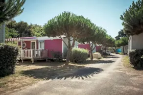 Camping Le Suroit - Terrass/Patio