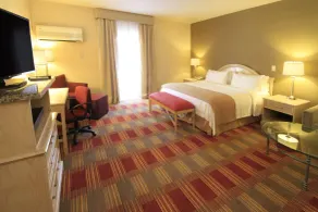 Holiday Inn Monclova by IHG - Zimmer