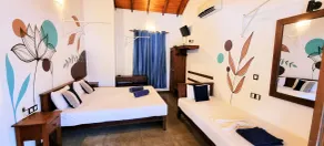 Blue Turtle Hotel - Chambre