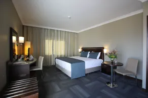 Kaya Prestige Oteli - Habitación
