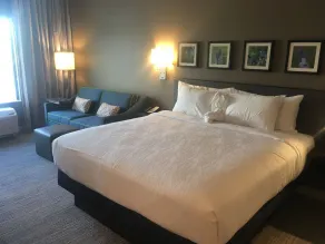 Hilton Garden Inn Austin Airport - Room