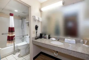 Red Roof Inn Dothan - Bagno