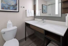 Hilton Garden Inn Winston-Salem/Hanes Mall - Bathroom
