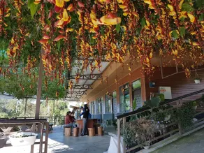 Xu Jia Chayuan B&B - Restaurant