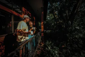 Jaguarundi Jungle Lodge - Monteverde - Utsikt från rummet