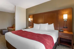 Comfort Suites Knoxville North - Chambre