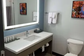 La Quinta by Wyndham Macon West - Salle de bain