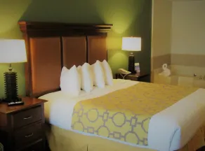 Stay Inn & Suites Montgomery - Chambre