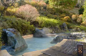 Hotel Hanaya - Aguas termales