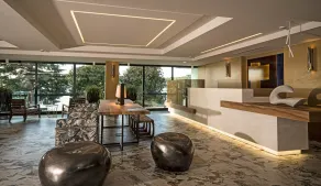 Hotel Salò du Parc - Réception