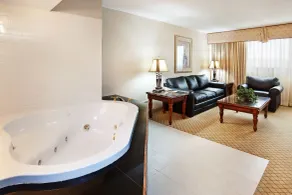 Holiday Inn Johnson City by IHG - Chambre