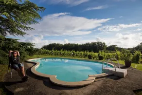 Vandenbeld Wines B&B - Pool