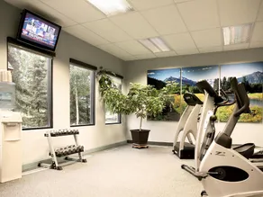 Sophie Station Suites - Salle de remise en forme