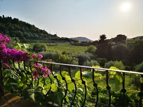 La Tinaia Country House - Udsigt fra værelset
