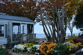 Black Walnut Point Inn - Udsigt fra værelset